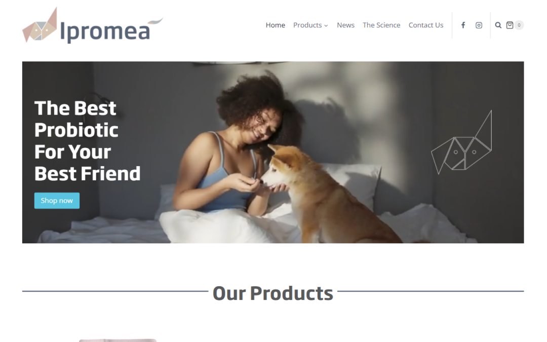 Ipromea – web edits, SEO