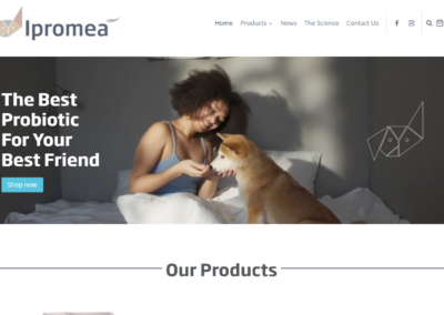 Ipromea – web edits, SEO